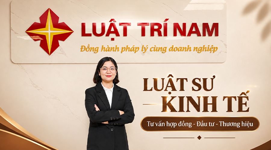 Luật sư kinh tế: Tư vấn đầu tư, M&A, hợp đồng